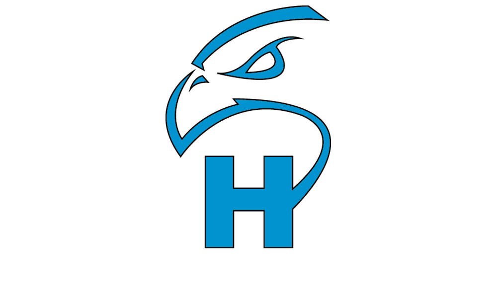 Hajek Logo Image of a blue hawk head